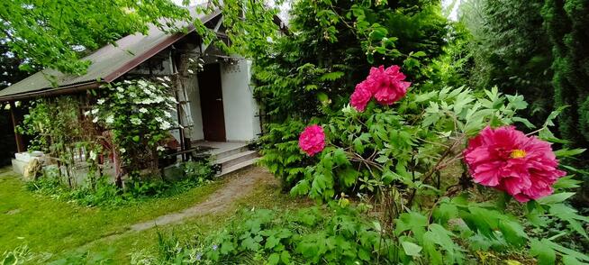 Działka ROD Relaks Umultowo