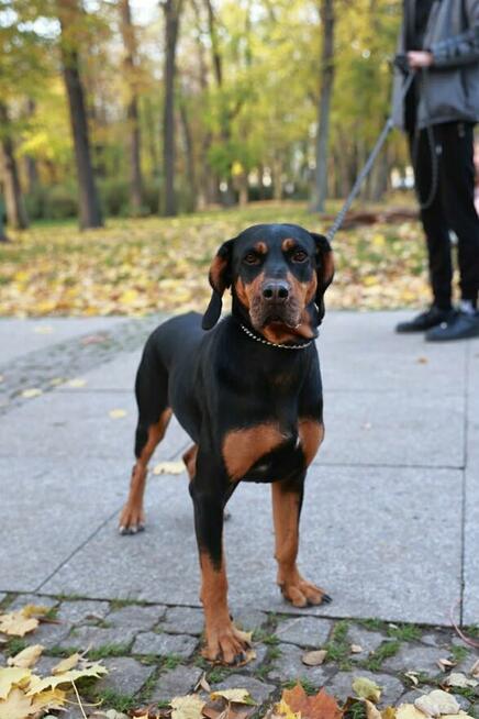 Lola liczy, że miłości jej ktoś użyczy..