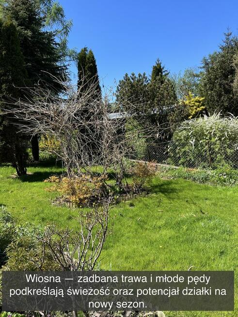 Działka rekreacyjna z domkiem w ROD Kaczeniec koło Warszawy