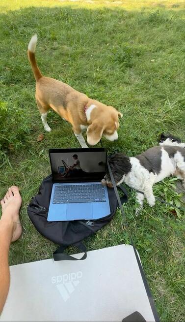 Opieka nad zwierzętami| Domowa |1 pupil na raz | Petsitting