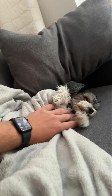 Opieka nad zwierzętami| Domowa |1 pupil na raz | Petsitting