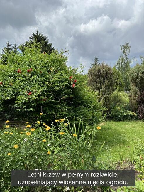 Działka rekreacyjna z domkiem w ROD Kaczeniec koło Warszawy