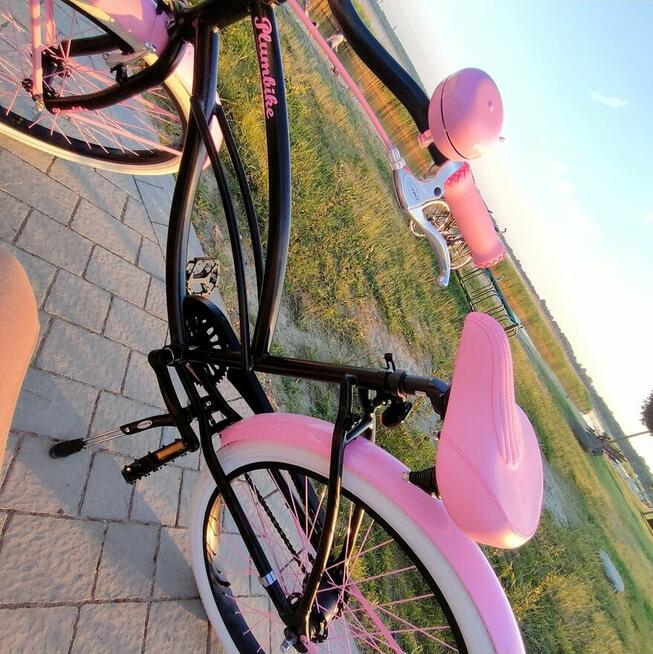 Rower miejski Plumbike