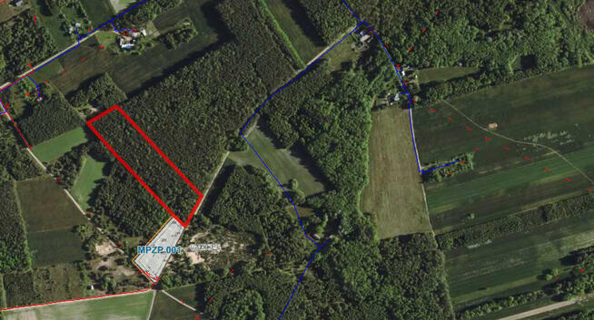 Działka leśna w miejscowości Łopacin