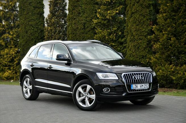 Audi Q5 2.0TDI(163KM)*Lift*Bi-Xenon*Led*Navi MMI*Keyless Go*2xPark.*Alu19"ASO