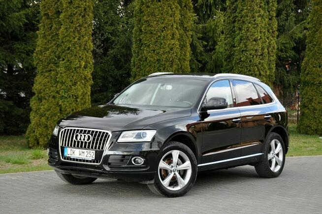 Audi Q5 2.0TDI(163KM)*Lift*Bi-Xenon*Led*Navi MMI*Keyless Go*2xPark.*Alu19"ASO