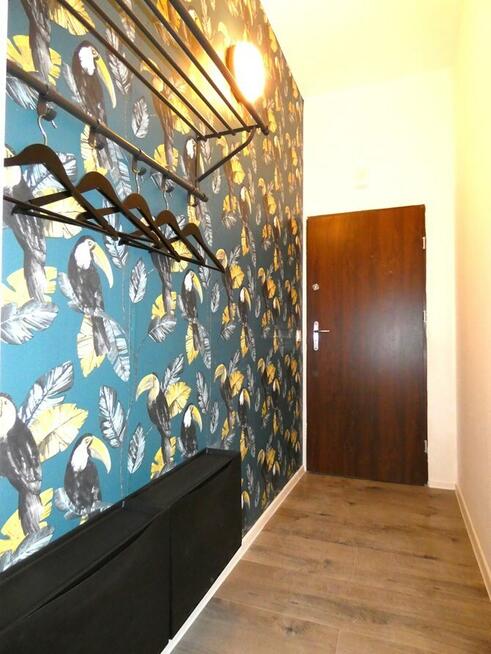 Wynajmę jasną kawalerkę w Centrum, Nasyp 2