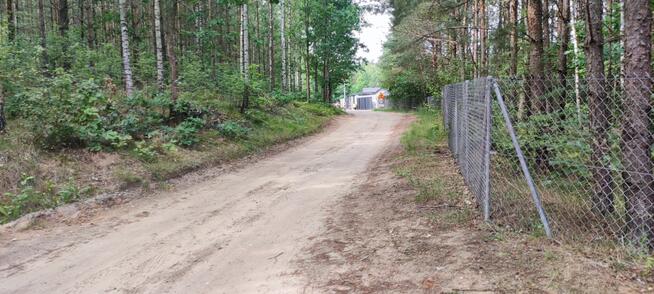 Działka z PNB Kieźliny - Olsztyn otoczona lasem