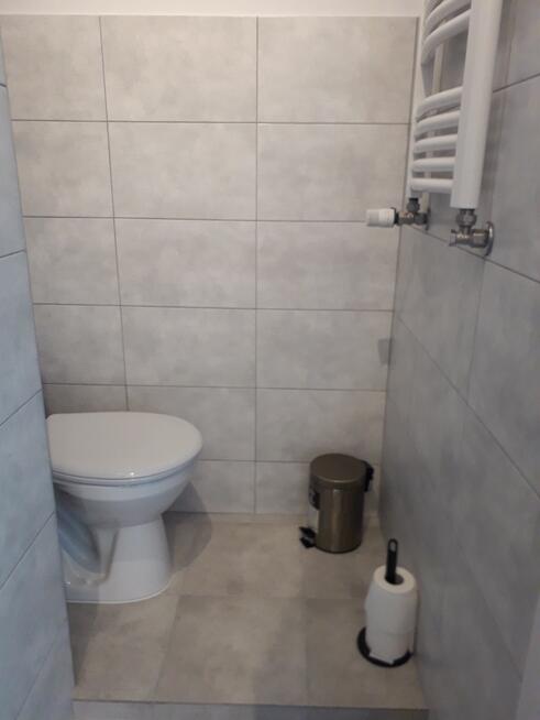 Bezpośrednio wynajmę kawalerkę