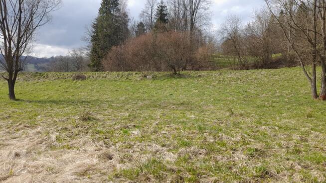 Sprzedam działkę rolno-budowlaną Rycerka Dolna