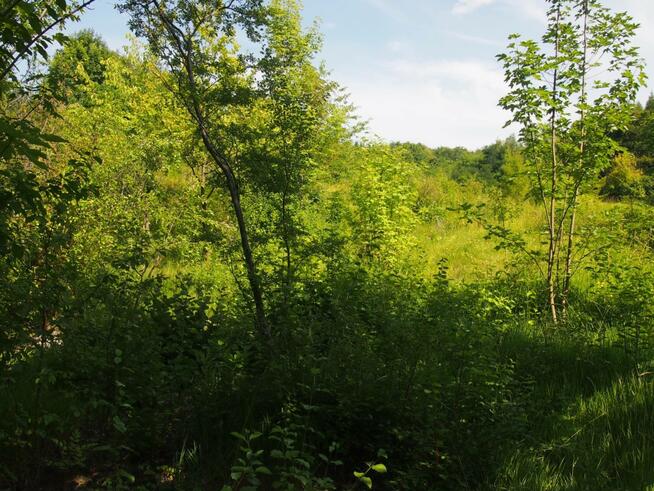 działka rekreacyjna