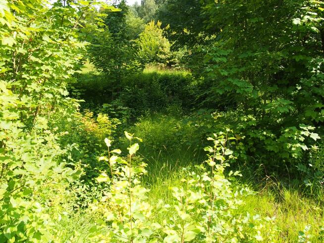 działka rekreacyjna