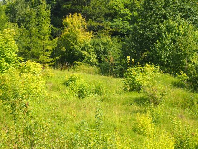 działka rekreacyjna