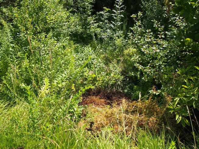 działka rekreacyjna