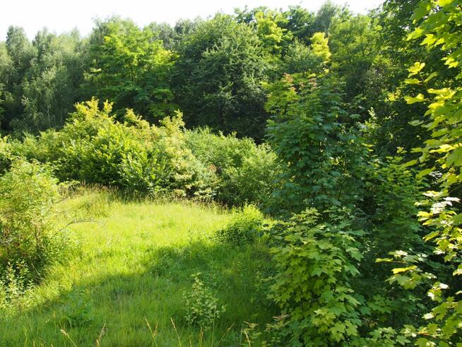 działka rekreacyjna