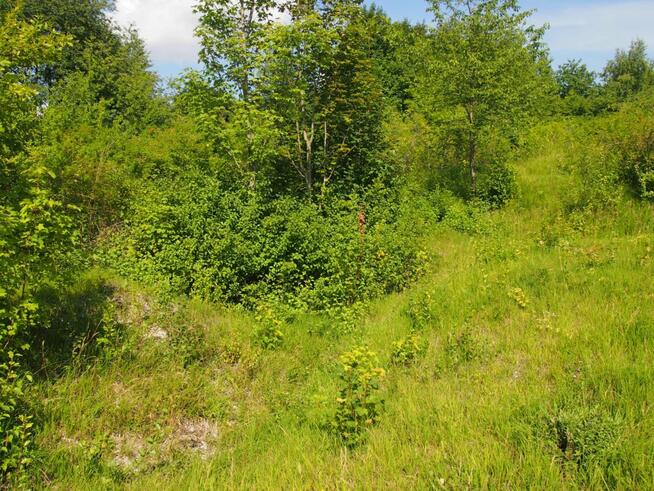 działka rekreacyjna