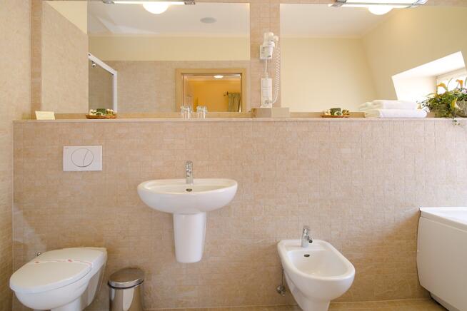 Funkcjonujący hotel na sprzedaż