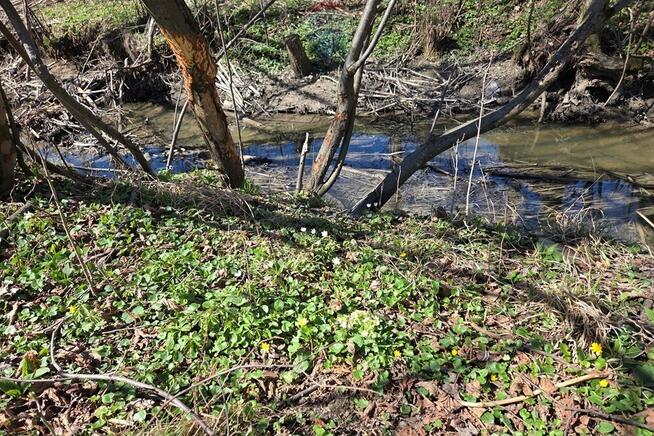 Działka budowlana w miejscowości Trzebinia