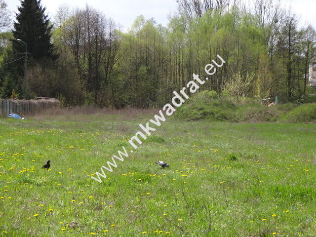 Kuklówka 3200m2 budowlana