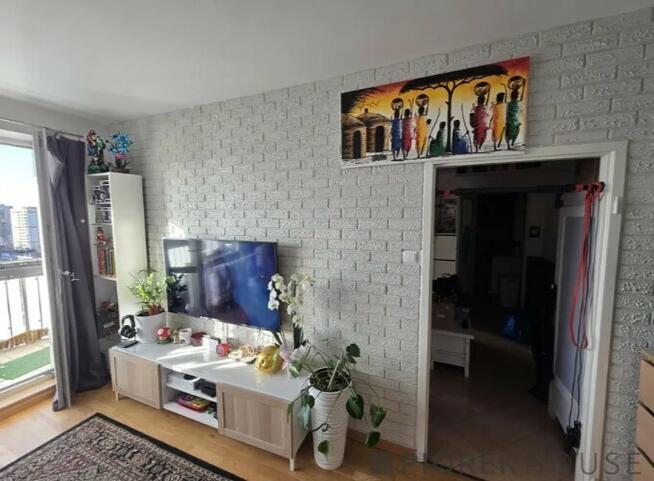 2-pokojowe mieszkanie na Pradze-Południe