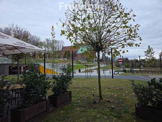 Do wynajęcia - Bulwary Oświęcim, przy Hiltonie.