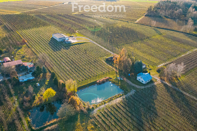 11 ha w Bikówku powiat grójecki