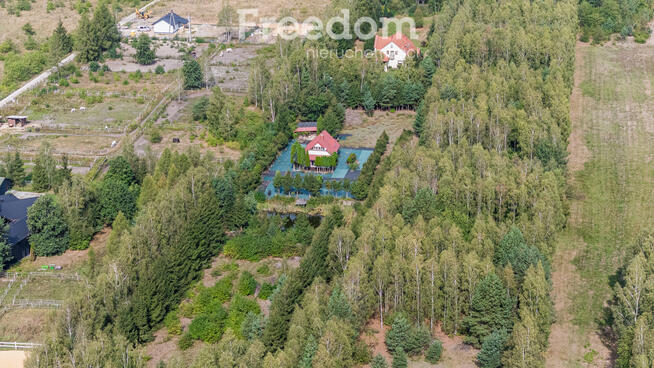 Mały dom na siedliskowej działce.