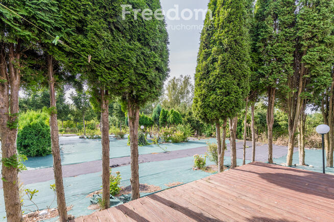 Mały dom na siedliskowej działce.