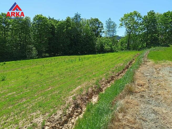 Działka Męcina gm. Limanowa