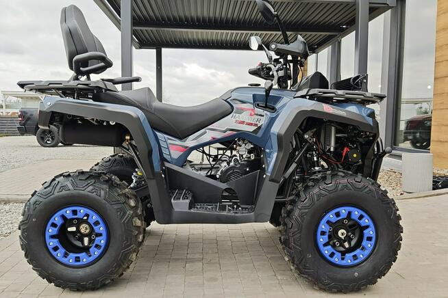 Diabolini Inny Diabolini Hammer 300 Pro Transport Raty Fvat Rozrusznik Automat