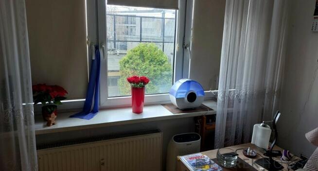 Kawalerka na Śródmieściu