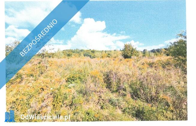 Syndyk sprzeda działki niezabudowane