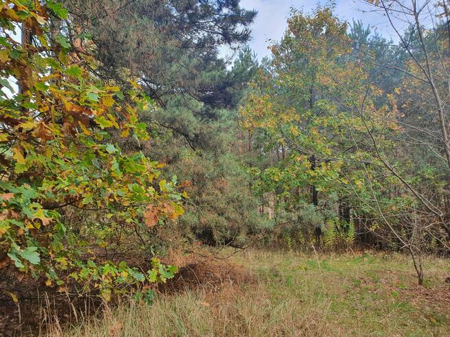 Działka budowlana Wiązowna
