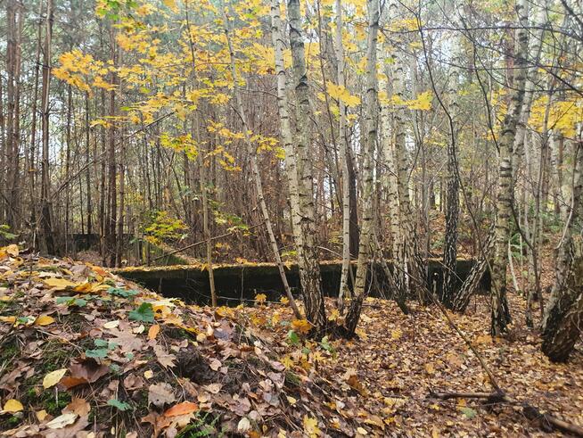 Działka budowlana Wiązowna