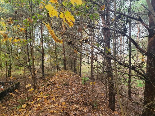 Działka budowlana Wiązowna