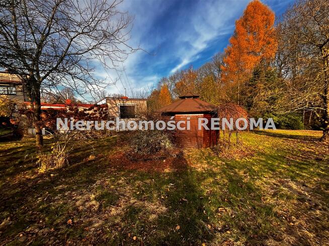 Działka rekreacyjna Jastrzębie-Zdrój Zdrój, Dębowa