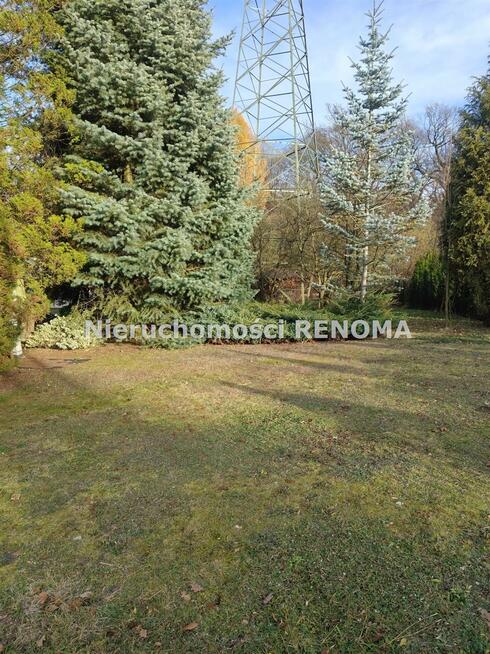 Działka rekreacyjna Jastrzębie-Zdrój Zdrój, Dębowa