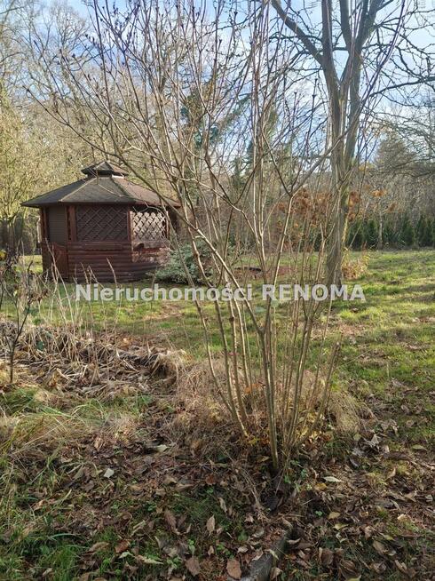 Działka rekreacyjna Jastrzębie-Zdrój Zdrój, Dębowa