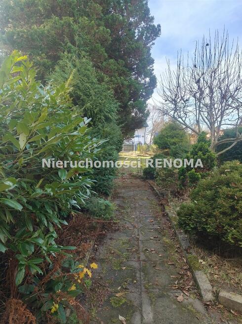 Działka rekreacyjna Jastrzębie-Zdrój Zdrój, Dębowa