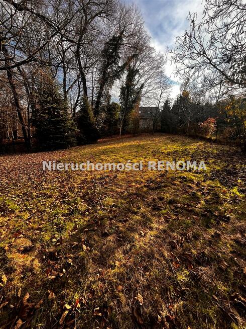 Działka rekreacyjna Jastrzębie-Zdrój Zdrój, Dębowa