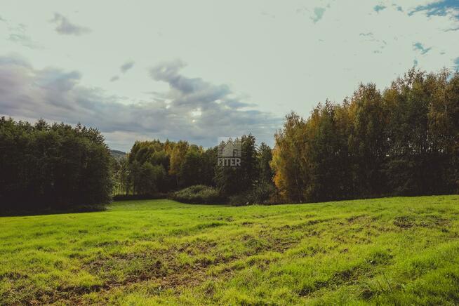 Działka budowlana Dębno