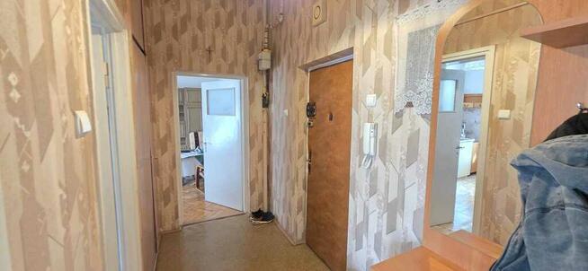 Dwa pokoje w centrum z dużym balkonem