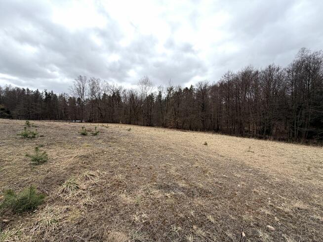 Działka rolna Łąkie gm. Studzienice Cechyny,