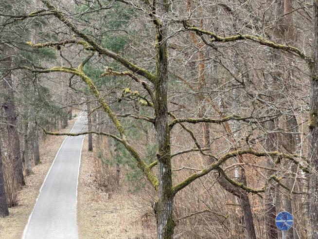 Działka rolna Łąkie gm. Studzienice Cechyny,
