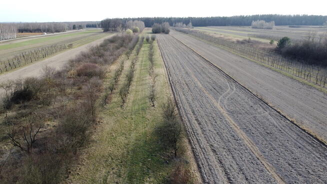 Siedlisko 3000 m2 w Boiskach gm. Solec nad Wisłą.