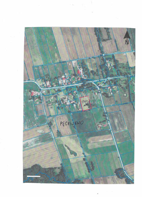 Działka rolna z możliwością zabudowy w Pęciszewie.