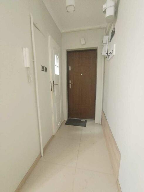 Na wynajem mieszkanie dwupokojowe.