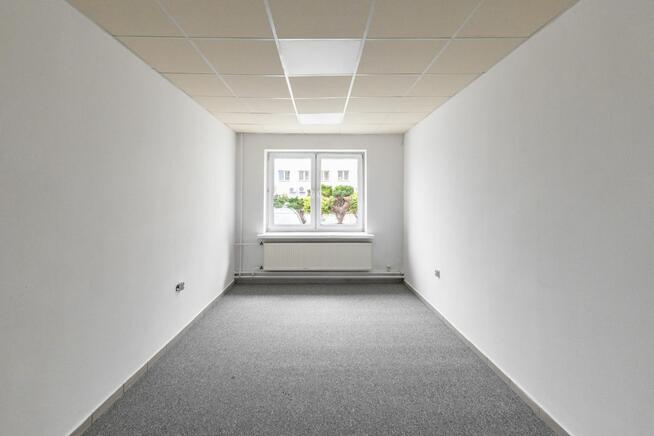 Lokal użytkowy Lublin Majdan Wrotkowski,