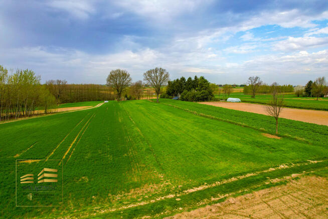 Działka rolna Płouszowice gm. Jastków,