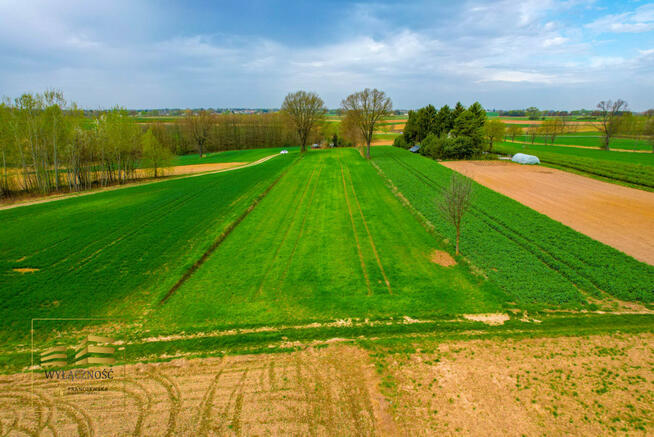 Działka rolna Płouszowice gm. Jastków,